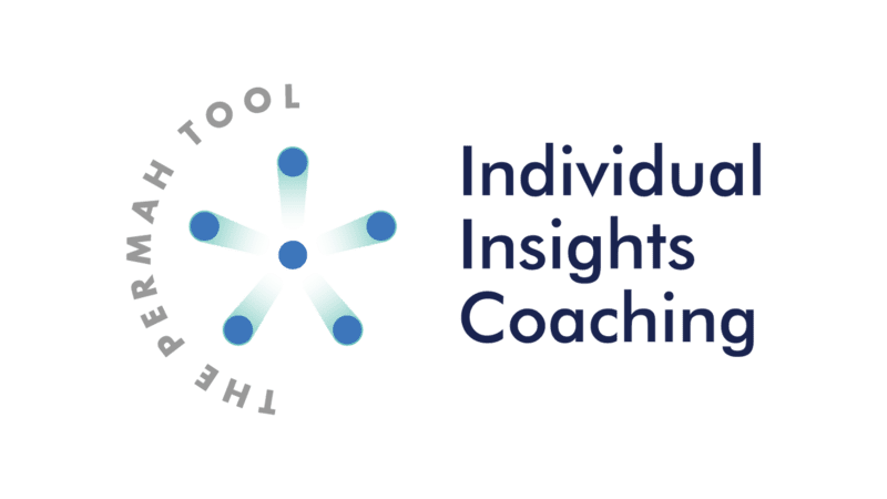 PERMAH Tool - Individual Insights Coaching Session(s)